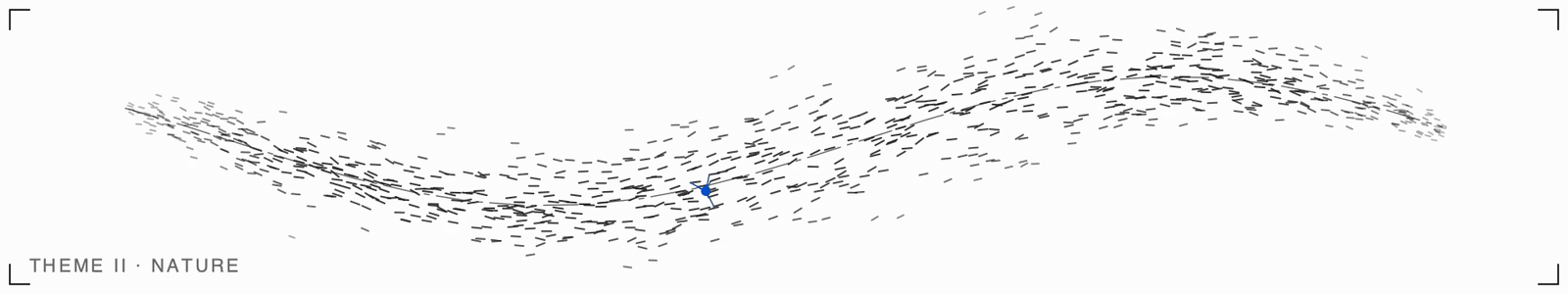 A murmuration of starlings, with one bird's seven nearest neighbours marked